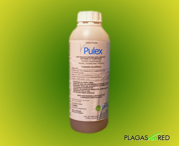 Pulex insecticida. Control de pulgas y hematofagos.